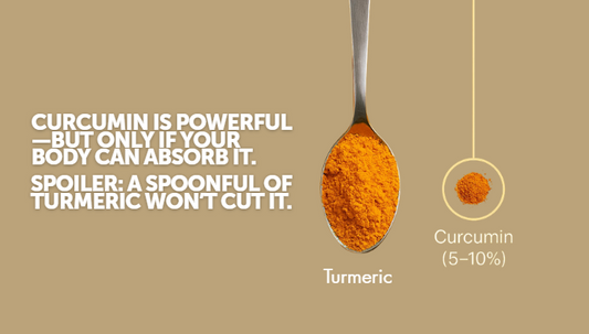 Why DIY Curcumin Fails: hint, Turmeric Isn’t the Problem,  Absorption Is