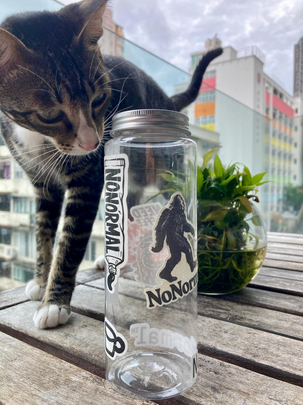 NoNormal Sticker Kit - Limited Edition